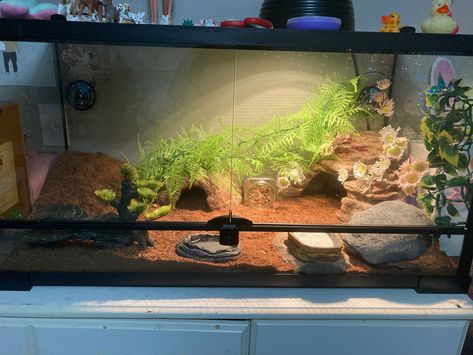 10 Gallon Snake Tank, Gecko Tank Setup, Leopard Gecko Tank Setup, Leopard Gecko Terrarium Ideas, Gecko Setup, Leopard Gecko Cage, Leopard Gecko Setup, Gecko Cage, Gecko Enclosure