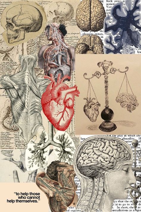 Medicine Moodboard Aesthetic, Neuroscience Wallpaper Iphone, Ipad Wallpaper Aesthetic Medicine, Health Class Aesthetic, Biology Art Aesthetic, Bioscience Aesthetic, Ipad Wallpaper Medicine, Genes Aesthetic, Anatomy And Physiology Cover Page