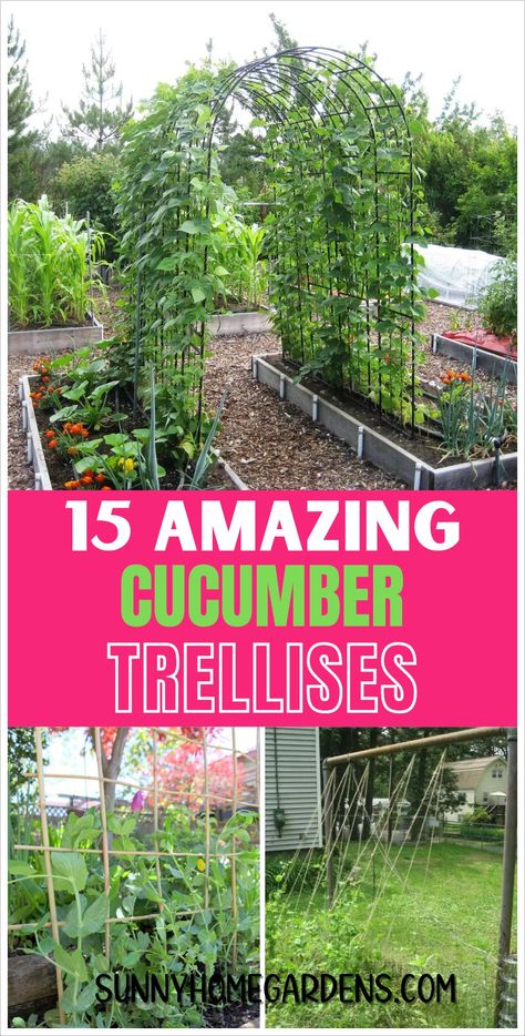 Check out these space-saving vertical trellis designs tailored for cucumber plants. Perfect for maximizing yield in small garden areas. Cucumber Garden Trellis, Cucumber Trellis Ideas, Homemade Trellis, Growing Cucumbers Vertically, Cucumber Trellis Diy, Teepee Trellis, Vertical Trellis, Vegetable Trellis, Cucumber Plants