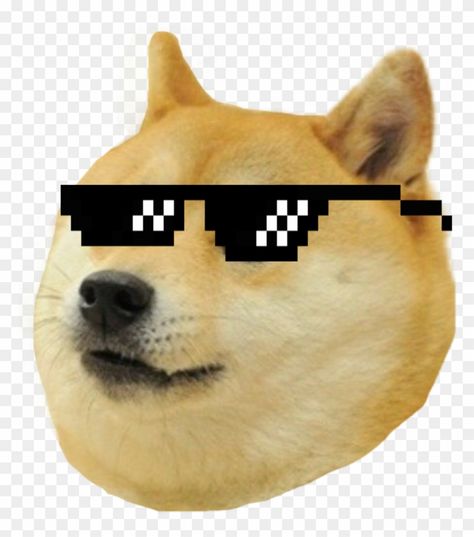 Funny Png Images, Cheems Dog Png, Coffee Uniform, Happy Dog Meme, 2010s Internet, Thug Life Cat, Thug Life Funny, Cheems Dog, Cheems Doge