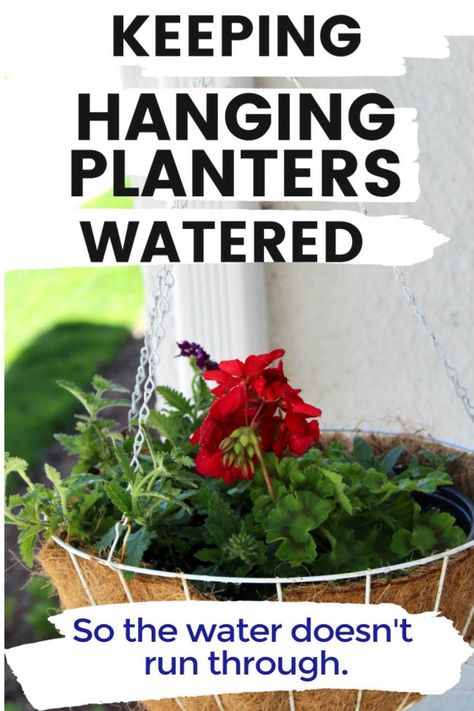 An easy and inexpensive way to prevent water from running through your hanging planters! This keeps the water in the planter so the soil gets moist and the plant can use the water it needs. Plus, the excess will drain. Purple Lantana, Container Planting, Container Garden Design, Winter Gardening, Red Geraniums, White Planters, Diy Hanging, Hanging Pots, Hanging Planter