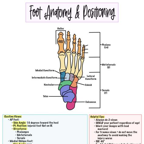 Foot Cheat Sheet Contains: -Anatomy -Positioning  -Helpful Tips Cute, organized way to study for comps, class or boards! Human Anatomy Cheat Sheet, Medical School Notes Anatomy, Human Anatomy Flashcards, Anatomy And Physiology Study Printables, Medical Terminology Study Cheat Sheets, Anatomy Cheat Sheet, Anatomy Study Tips, Cheat Sheets For Exam, Anatomy And Physiology Notes Study