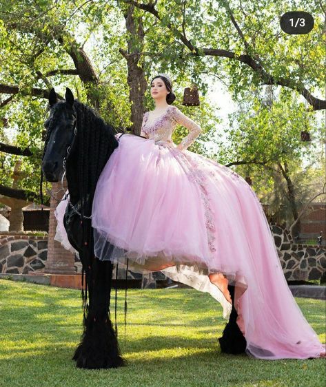 Quince Picture Ideas, Right Wedding Dress, Quinceañera Photoshoot Ideas, Quince Photoshoot Ideas, Horse Photoshoot Ideas, Quince Pictures, Sweet 16 Pictures, Quinceanera Pictures, Weird Colors