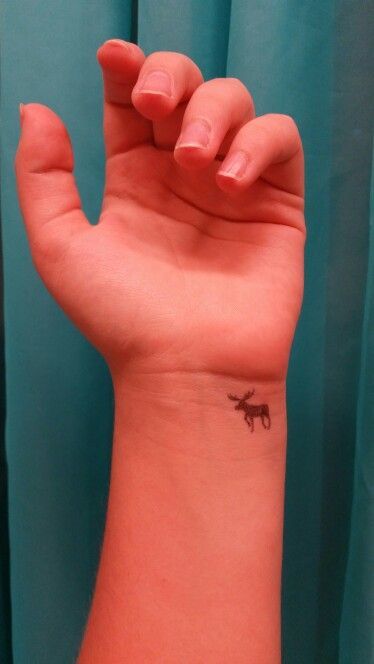 10+ Small Moose Tattoo Designs | PetPress Cute Moose Tattoo, Tiny Moose Tattoo, Moose And Squirrel Tattoo, Canada Tattoo Ideas, Alaska Tattoo Ideas, Alaska Tattoos, Moose Tattoos, Alaskan Tattoos, Maine Tattoo