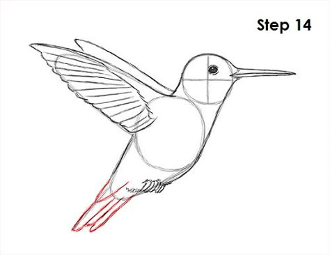 How to Draw a Hummingbird Draw A Hummingbird, Animal Drawing Tutorial, Hummingbird Painting Acrylic, Hummingbird Art Drawing, Hummingbird Illustration, Hummingbird Drawing, Images Pop Art, Drawing Instructions, Watercolor Hummingbird