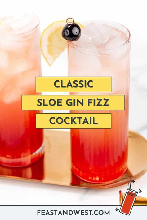 Slow Gin Fizz Recipes, Sloe Gin Fizz Recipe, Slow Gin Fizz, Sloe Gin Recipe, Sloe Gin Cocktails, Sloe Gin Fizz, Gin Fizz Recipe, Sloe Berries, Gin Fizz Cocktail