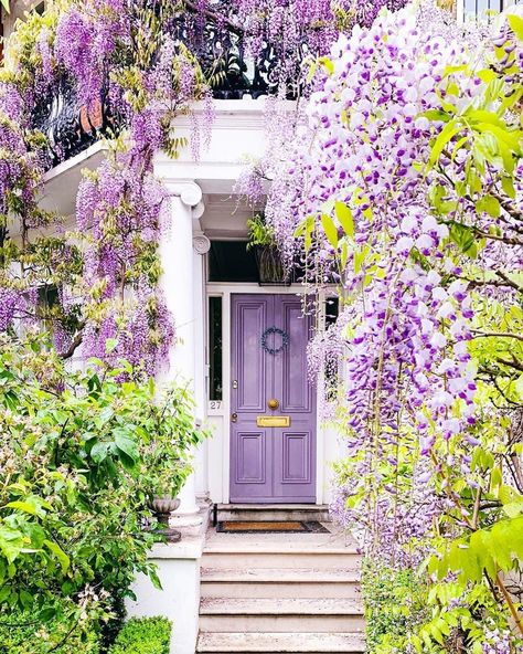 Purple Front Door, Wisteria Trellis, Wisteria Pergola, Wisteria Garden, Veranda Magazine, Wisteria Tree, Purple Door, Hus Inspiration, Trik Fotografi