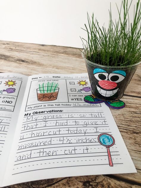 Plants Lesson Plans, Teaching Plants, Plant Experiments, Plants Kindergarten, Head Template, Plants Classroom, Seed Craft, Plant Lessons, Planting For Kids