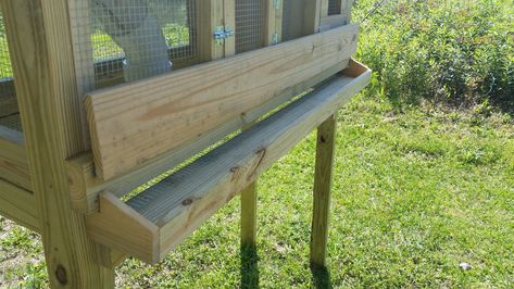 Click this image to show the full-size version. Diy Quail Cage, Quail Pen, Duck Pet, Quail House, Quail Cage, Quail Coop, Raising Quail, How To Raise Chickens, Raise Chickens