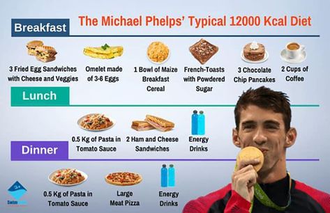 12000-Calorie Michael Phelps’ Diet – Fact or Fable? #swimnetwork #michaelphelpsdiet Swimmers Diet, Fried Egg Sandwich, Swimming Tips, Gym Guys, Swim Meet, Competitive Swimming, High Fat Foods, Diet Breakfast, Michael Phelps