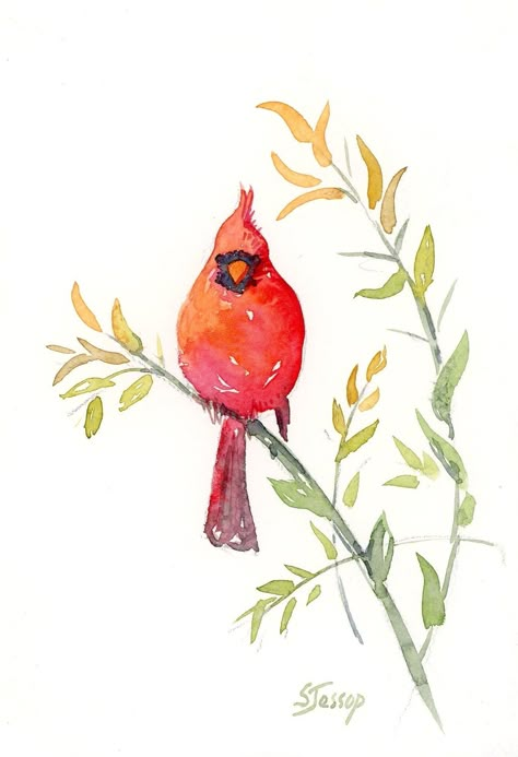 Cardinal Watercolor, Cardinal Painting, Pomegranate Tree, Small Frames, Learn Watercolor, Watercolor Paintings For Beginners, Diy Watercolor Painting, Watercolor Flower Art, Watercolor Art Lessons