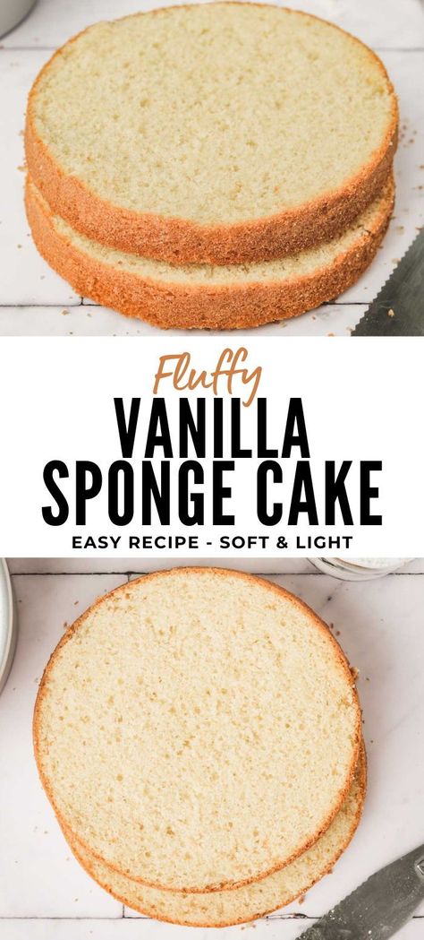 Best Vanilla Sponge Cake Recipe, Simple Sponge Cake Recipe, Simple Sponge Cake, Easy Sponge Cake Recipe, Layered Cakes, Sponge Cake Recipe, Vanilla Sponge Cake, Sponge Cake Recipes, Fluffy Texture