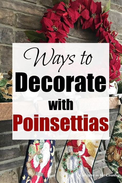 Add some color to your Christmas decor this year with red poinsettias! Here are a bunch of ideas to decorate with poinsettias...from Christmas mantel ideas to poinsettias in containers to poinsetta inspired craft ideas. Visit the blog for more ways to decorate your home with poinsettias! Poinsettia Decorated Christmas Tree, Poinsettia Mantel Decor, Poinsettia Christmas Tree Ideas, Christmas Tree Decorated With Poinsettia, Poinsettia Outdoor Decoration, Outdoor Poinsettia Decor, Poinsettas Around Fireplace, Christmas Trees Decorated With Poinsettias, Poinsettia Decorating Ideas Table