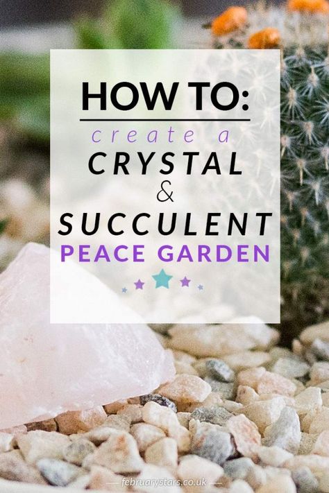 DIY: Create a crystal & succulent mini peace garden for your home ⋆ February Stars Crystal Planters Diy, Crystals For Garden, Crystal And Succulent Garden, Mini Crystal Garden, Crystal Garden Terrarium Diy, Outdoor Crystal Garden, Crystal Succulent Garden, Diy Crystal Garden, Crystals And Succulents