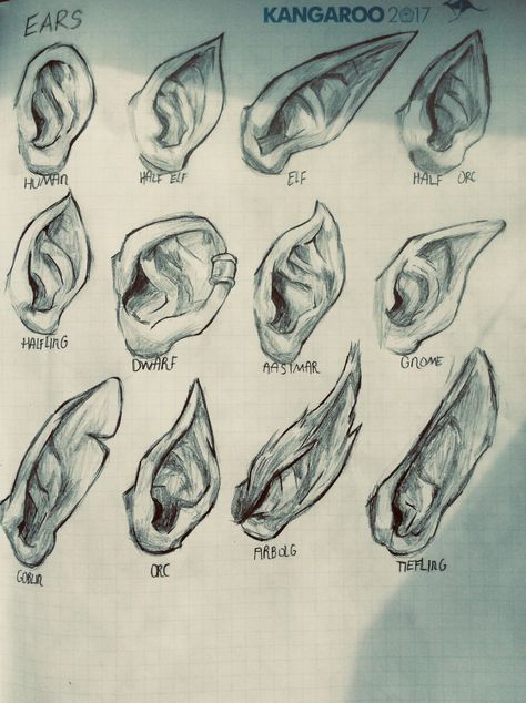 Ears that could help for drawing Fantasy Ear Drawing Reference, Ear Base Drawing, Pointed Ears Drawing Reference, Drawing Reference Ears, Half Elf Ears Drawing, Types Of Ears Drawing, How To Draw Pointy Ears, Pixie Ears Drawing, Drawing An Ear