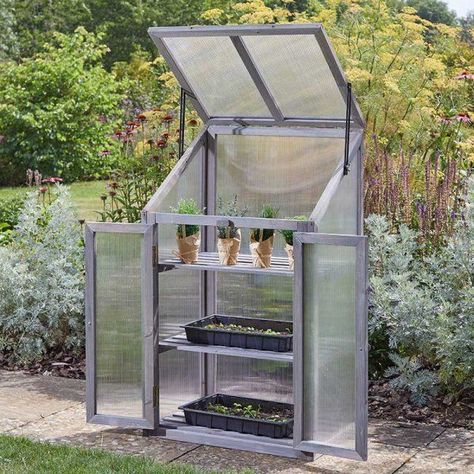 Smart Garden Wooden Gro Zone Growhouse | Oasis Gardening Ltd Grow Station, Egg Shop, Garden Bbq, Smart Garden, Opening Doors, Garden Equipment, Mini Greenhouse, Cold Frame, Tool Sheds