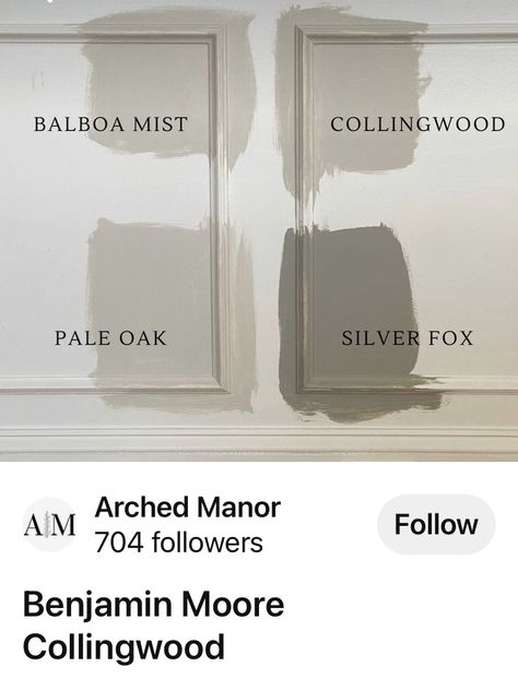 Silver Fox Benjamin Moore, Paint Benjamin Moore, Balboa Mist, English Tudor, Silver Fox, Painting Tips, Benjamin Moore, Office Design, Color Me