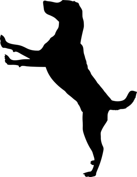 Free Image on Pixabay - Silhouette, Dog, Doggy, Animal Silhouette Chat, Labrador Silhouette, Vogel Silhouette, Silhouette Dog, Trendy Tattoo, Dog Quilts, Black And White Art Drawing, 강아지 그림, Silhouette Images