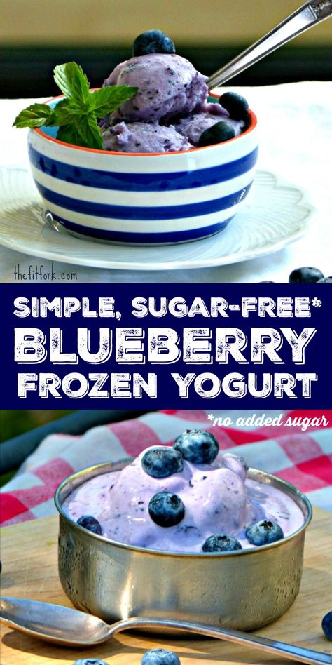 Simple Sugar Free Blueberry Frozen Yogurt -- a healthy treat and option to ice crean that has 57 calories per half-cup serving and 5 grams protein with less than 1g fat and 6g net carb. Blueberry Frozen Yogurt, Greek Yogurt Popsicles, Frozen Yogurt Blueberries, Berry Desserts, Flavored Ice Cubes, Frozen Greek Yogurt, Frozen Yogurt Recipes, Fro Yo, Sorbet Recipe