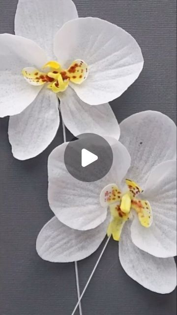 Wafer Paper Orchid Tutorial, Wafer Flowers Tutorial, Wafer Paper Flowers Template, Wafer Paper Flowers Cake, Wafer Paper Flowers Tutorial, Wafer Paper Wedding Cake, Ukrasavanje Torti, Wafer Paper Tutorial, Orchid Cake