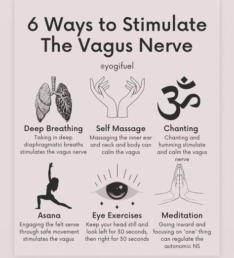 Vegas Nerve Exercises, Activate Vagus Nerve, Polyvagal Theory Exercises, Dorsal Vagal Shutdown, Stimulate Vagus Nerve, Vegas Nerve, Vagal Nerve, Nervus Vagus, The Vagus Nerve