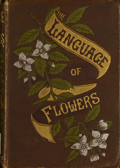 The language of flowers : including floral poetry : Free Download, Borrow, and Streaming : Internet Archive Garden Design Diy, Poetry Book Cover, The Language Of Flowers, Vintage Book Cover, Diy Denim, Diy Jeans, Commonplace Book, Flower Meanings, Vintage Book Covers