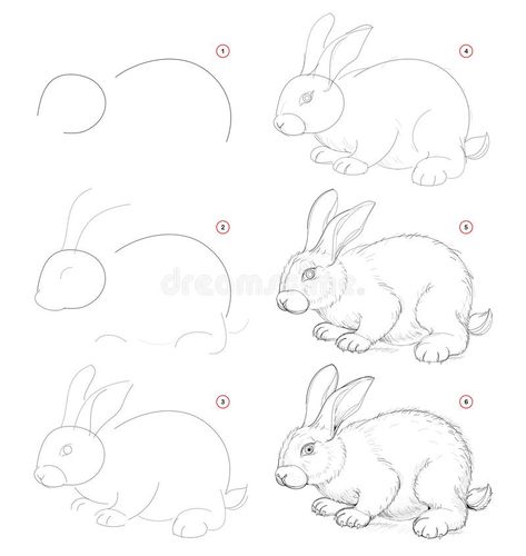 Nature Sketches Pencil, Step By Step Sketches, Easy Pencil Drawings, Arte Doodle, Rabbit Drawing, Animal Drawings Sketches, Nature Sketch, Bunny Drawing, Pencil Drawings Easy