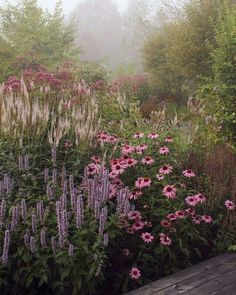 Tom- Like these plants layered but want it to look clean-- agastache, echinacea, sedum and more...: Diy Jardin, Meadow Garden, Ad Magazine, Landscape Edging, Garden Types, Have Inspiration, Garden Borders, Perennial Garden, Decor Minimalist