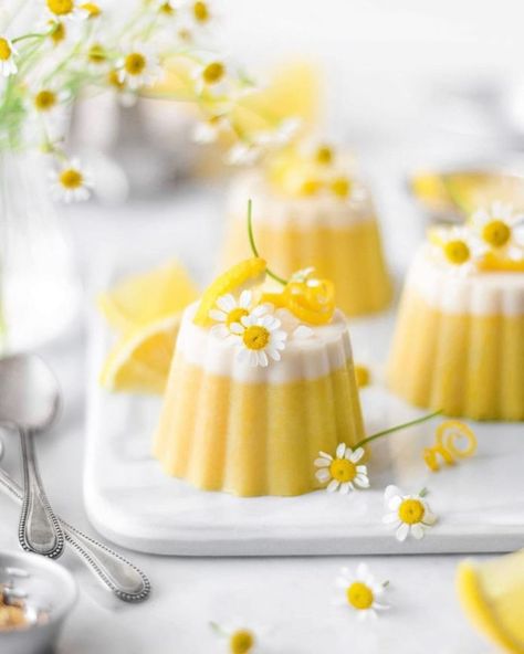 Lemon Panna Cotta, Spring Time Desserts, Panna Cotta Recipe, Mapo Tofu, Squeezed Lemon, Agar Agar, Fancy Desserts, Cute Desserts, Sugar Rush