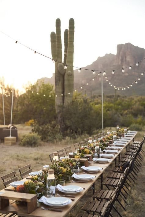 Lounge Seating Area, Pop Up Dinner, Private Dinner, Surprise Engagement, Phoenix Wedding, Arizona Desert, Local Farm, Under The Lights, Courtyard Garden