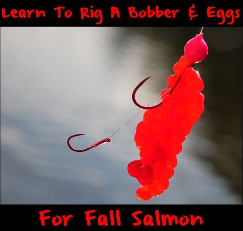 Fall Salmon, Alaska Salmon Fishing, Fishing Salmon, Float Fishing, Steelhead Fishing, Alaska Fishing, Salmon Eggs, Fishing Kayak, Bass Fishing Lures