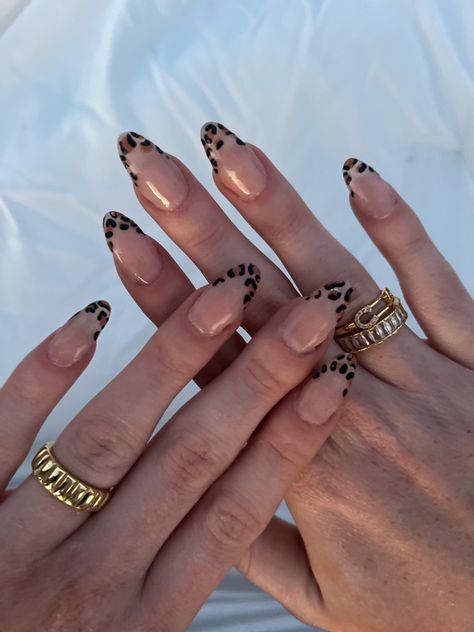 Fall Gel Nails Cheetah, Leopard Almond Nails Cheetah Print, Cool Nail Inspo 2024 Almond, Fall Inspo Nails Short, Cheats Print Nails, Nail Idea Fall, Senior Picture Nails Ideas, Short Hoco Nails, Easy Simple Nail Designs