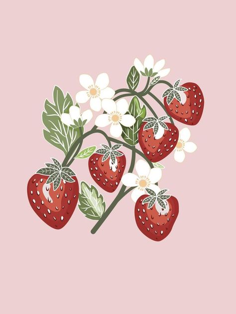 Branches of cute red strawberries, small white flowers and strawberry' leaves with white color outline, hand drawn flat vector retro style, isolated image. Strawberry Branch Drawing, Strawberry Flower Illustration, Strawberry Leaves Drawing, Strawberry Drawing Black And White, Strawberry Flower Drawing, Strawberry Drawing Aesthetic, Strawberry Tattoo Small, Strawberry Flower Tattoo, Flower Drawings With Color