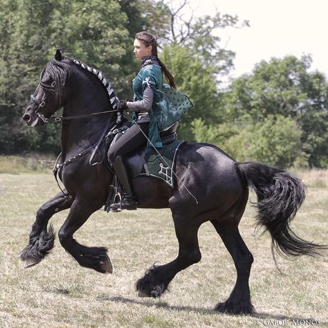 Medieval Horse, Rasy Koni, Horse Costumes, Wilde Westen, Black Horses, Friesian Horse, Majestic Horse, All The Pretty Horses, Horse Crazy