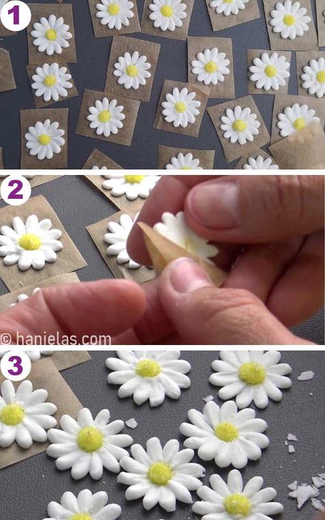 Royal Icing Flowers On Cake, Chocolate Daisy Flower, Daisy Royal Icing Transfers, Royal Icing Drop Flowers, Diy Icing Flowers, Royal Icing Molds, Edible Daisy Flowers, Royal Icing Daisies, Easy Royal Icing Flowers