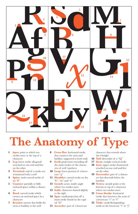 Anatomy of type Anatomy Design Graphic, Letter Anatomy Typography, Anatomy Of Type Poster, Typography Anatomy Poster, Type Anatomy Poster, Typeface Anatomy, Typography Anatomy, Font Anatomy, Anatomy Of Type