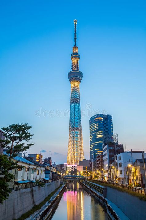 Tokyo Scenery, Skytree Tokyo, Tokyo Photography, Japan Bucket List, Landmarks Art, Tokyo Skytree, Japan Vacation, Sunset Images, Japan History