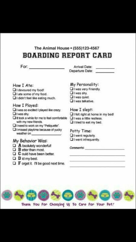 Boarding Report card Kennel Business, Dog Boarding Ideas, Dog Daycare Business, Dog Boarding Facility, Dog Boarding Kennels, Pet Sitting Business, Report Card Template, Dog Hotel, Pet Resort