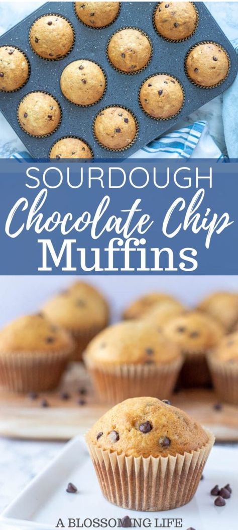 Sourdough Discard Cupcake Recipes, Healthy Sourdough Discard Muffins, Easy Active Sourdough Recipes, Sourdough Banana Chocolate Chip Muffins, Easy Sourdough Muffins, Sourdough Discard Protein Muffins, Easy Sourdough Discard Muffins, Sourdough Apple Cinnamon Muffins, Sourdough Muffins Chocolate Chip