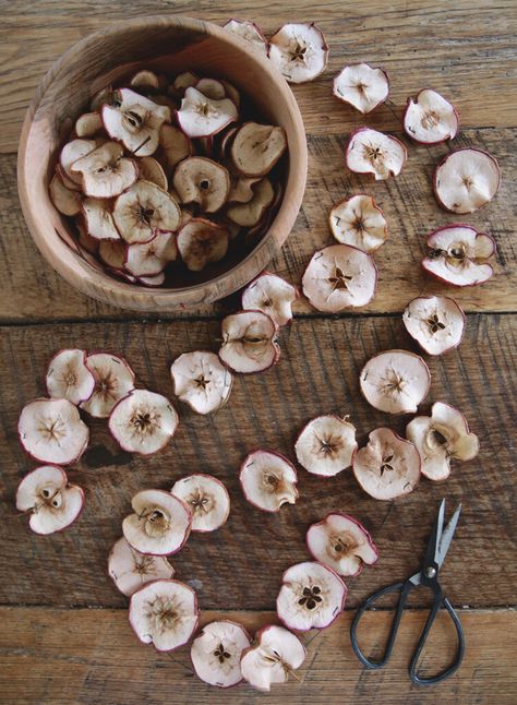 Learn how to make a dried apple garland that is perfect for a fall mantel, and looks good with Christmas greenery too! #driedapples #homedecor Dried Apple Garland, Diy Fall Garland, Apple Garland, Natural Fall Decor, Diy Apple, Apple Decorations, Fall Garland, Dried Apples, Dried Strawberries