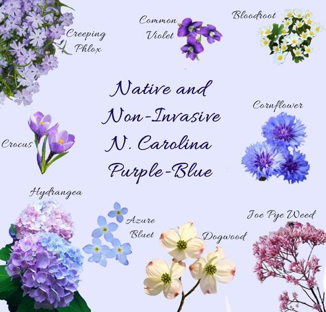 Native and Non-Invasive garden flowers, North Carolina, blue and purple flowers. Shoulder Sleeve Tattoos, Flower Yard, Flower Farming, Future Garden, Backyard Garden Landscape, Native Flowers, Blue And Purple Flowers, Flower Guide, Native Garden