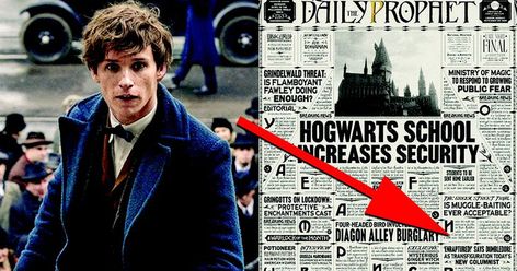 Did you spot Harry's grandfather? Harry Potter Easter Eggs, Beast Film, Ministry Of Magic, Fantastic Beasts And Where, Harry Potter Film, Harry Potter Books, Hogwarts School, Film Producer, Harry Potter Fantastic Beasts