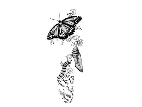 Caterpillar To Butterfly Transformation, Butterfly Transition Tattoo, Monarch Butterfly Life Cycle Tattoo, Stages Of Butterfly Tattoo, Butterfly Tattoo Metamorphosis, Caterpillar Turning Into Butterfly Tattoo, Stages Of Butterfly Life Cycle Tattoo, Stages Of A Butterfly Tattoo, Cocoon To Butterfly Tattoo