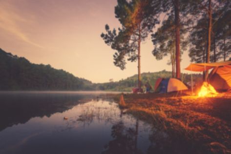 5 Best Free Camping Spots in Tennessee | Drivin' & Vibin' Pop Up Camper Decor, Travel Themed Cookies, Camping In Tennessee, Spend Time In Nature, Camping In Pennsylvania, Camping Bags, Tennessee Valley Authority, Tennessee Road Trip, Travel Trailer Ideas