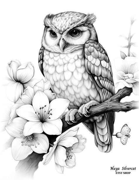 Sketches Of Animals, Cute Owl Drawing, Owl Drawings, Realistic Owl Tattoo, Owl Tattoo Drawings, Owl Drawing, Magic Runes, Owl Coloring Pages, Coloring Page For Adults