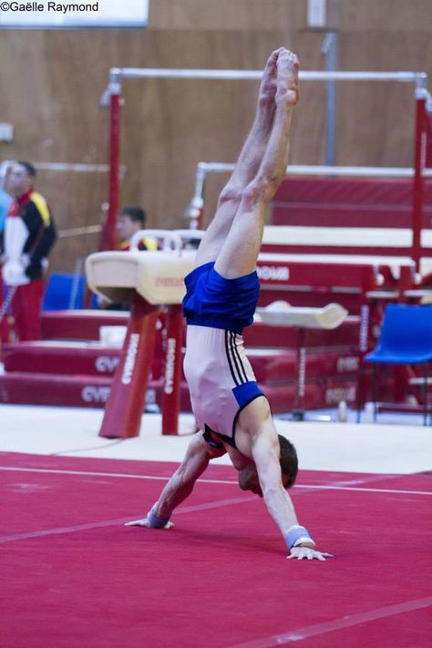 Male Gymnast Poses, Male Gymnast Aesthetic, Men Gymnastics, Olympic Gymnastics Aesthetic, Mens Gymnastics, Mens Gymnastics Photography, Men’s Gymnastics, Tumbling Gymnastics, Boys Gymnastics