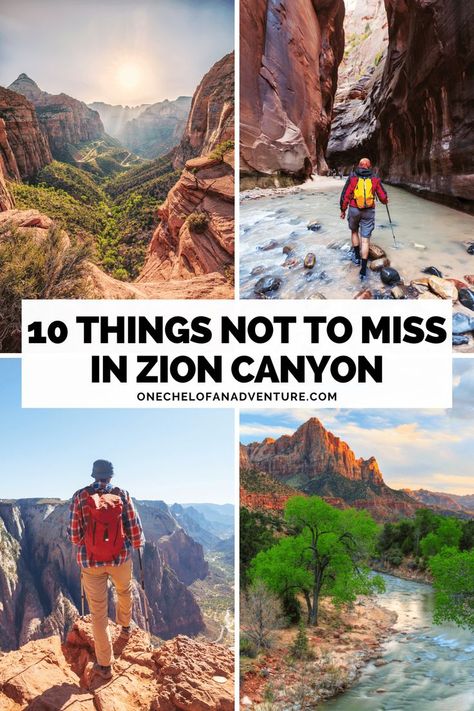 Zion National Park Hikes, Utah National Parks Road Trip, Trip To Grand Canyon, Utah Vacation, Zion Canyon, Utah Road Trip, Zion National Park Utah, National Park Vacation, Places To Live