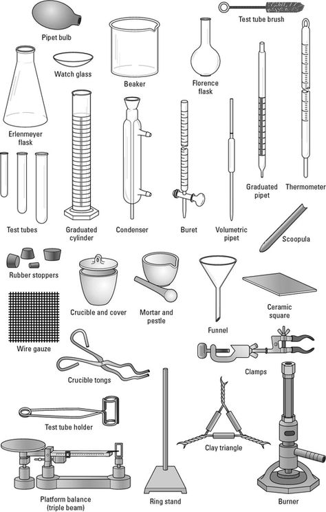 Diagram of common lab equipment, such as an Erlenmeyer flask, beaker and condenser, among others. Chemistry Equipment, Tabel Periodik, Chemistry Lab Equipment, Organic Chemistry Study, Chemistry Projects, Chemistry Basics, Erlenmeyer Flask, Science Equipment, Study Chemistry