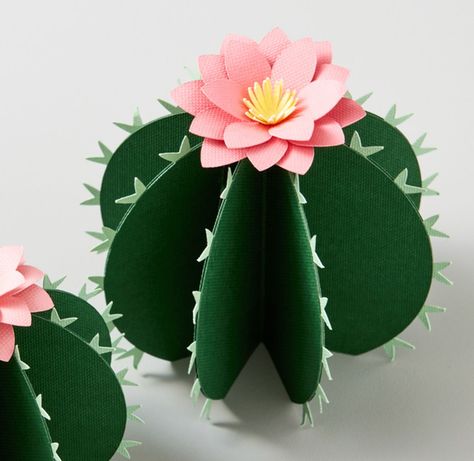 Taco Party Centerpiece Ideas, Cactus Party Centerpieces, Cactus Classroom Bulletin Board, Paper Cactus Diy, Cactus Paper Craft, Western Theme Party Decorating Ideas, Cowboy Party Decorations, Paper Cactus, Diy Cactus