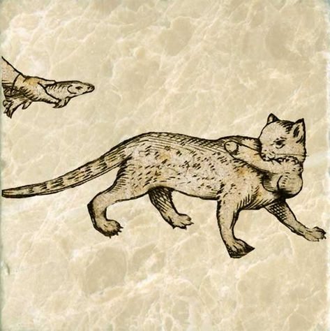 Midevil Cat Paintings, Medieval Cat Painting, Medieval Animal Art, Medieval Cat Tattoo, Medieval Scroll, Cat Tiles, Medieval Drawing, Medieval Cat, Medieval Marginalia